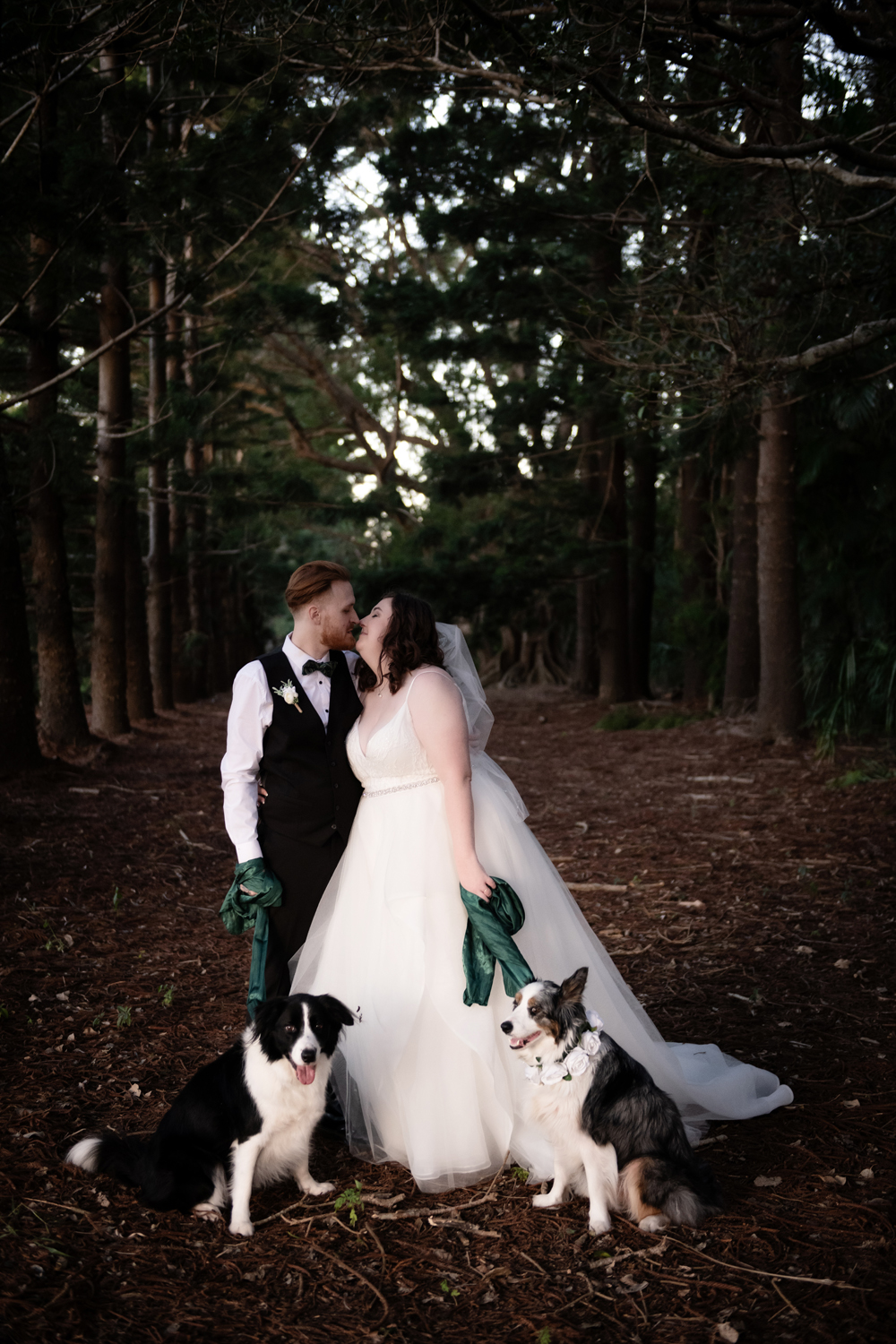 Sabrina Lauriston Photography — photo 15 of 18